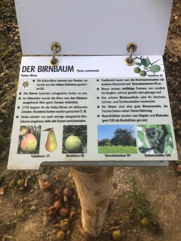 Naturerlebnis- und Spielraum „Unter de Birnbam“, Beutelsbach