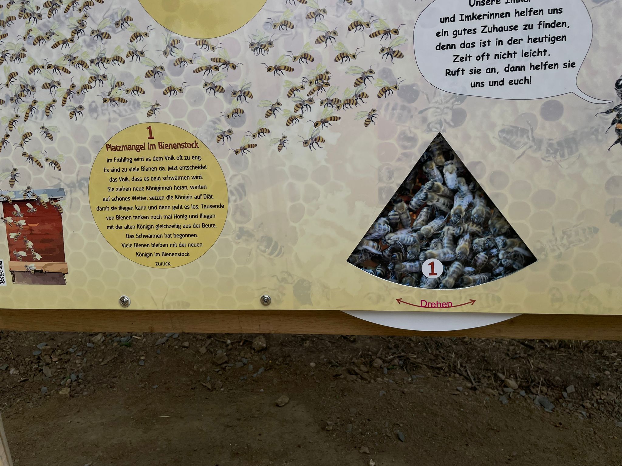 Bienenpfad Bad Vilbel Projektfoto