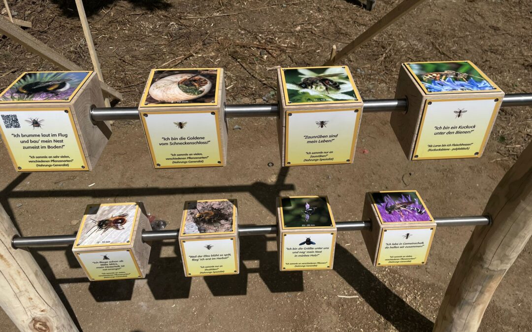 Bienenpfad Bad Vilbel