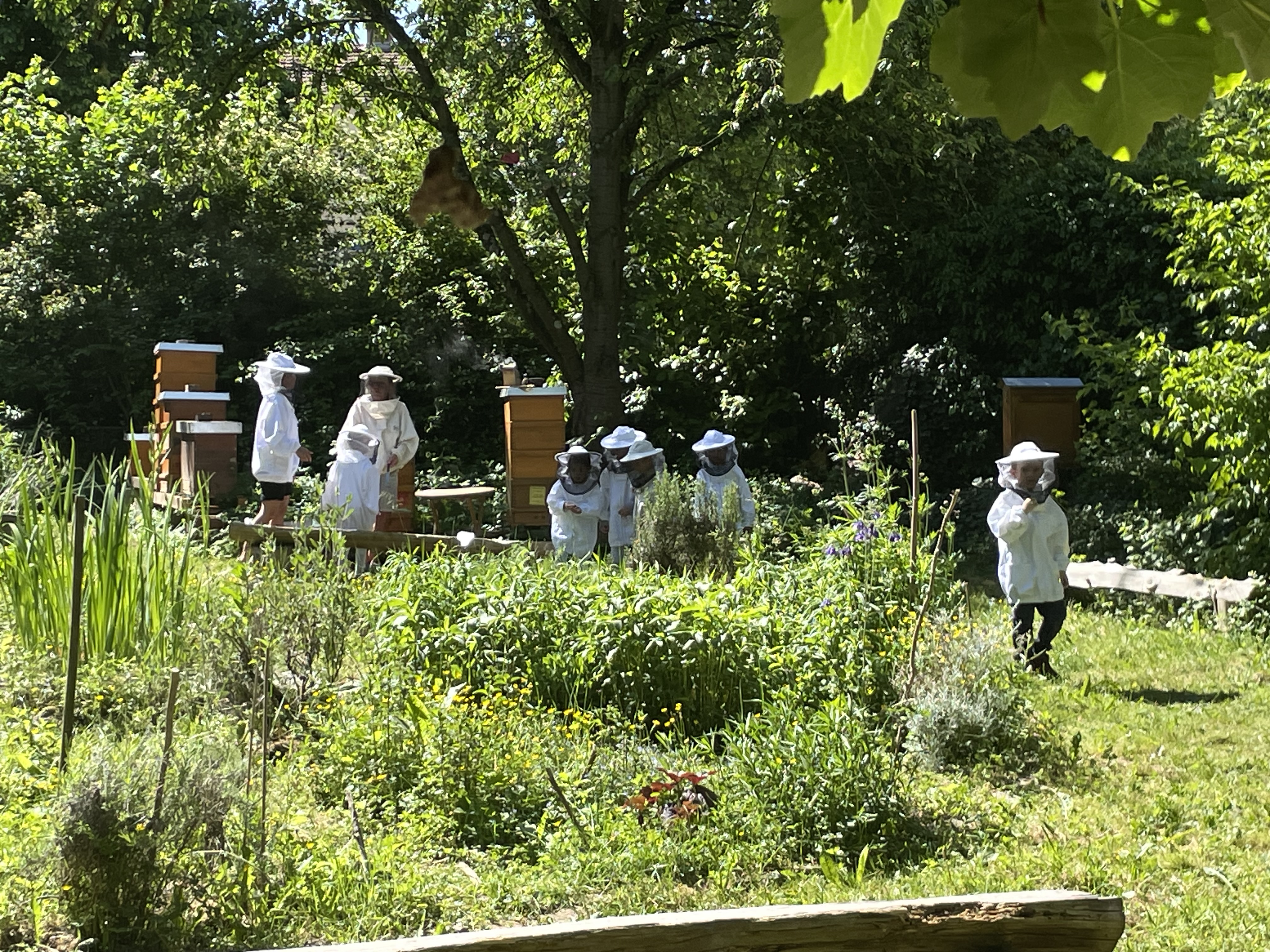 Bienenschule zum Bienenpfad Bad Vilbel