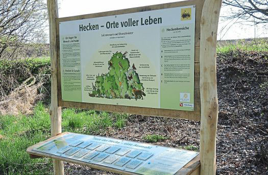 Naturwissen an den Erlebnisstationen