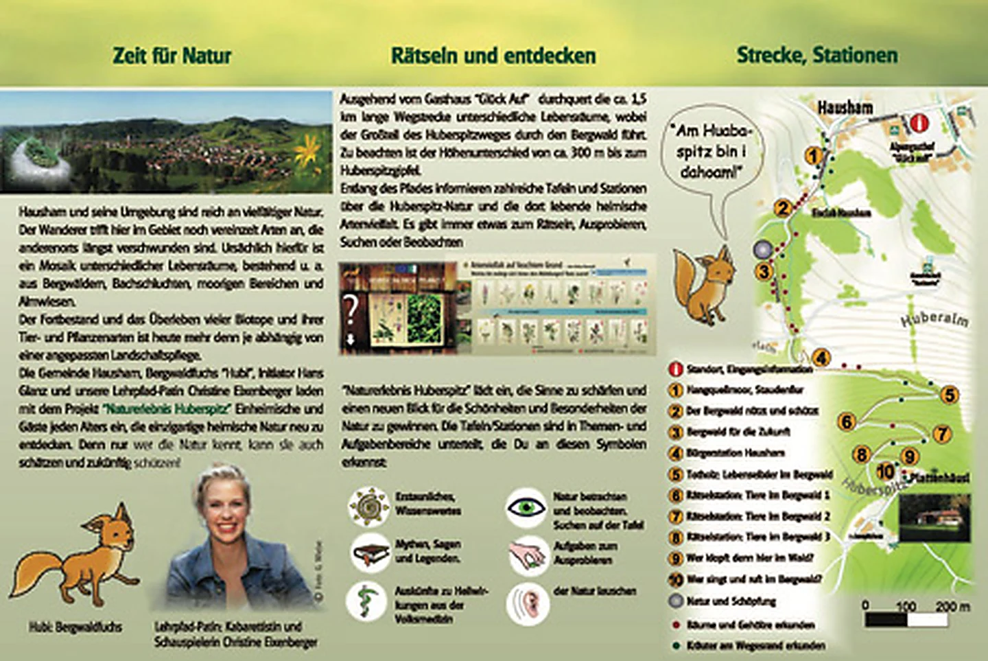 Bergwaldfuchs Hubi vom Naturerlebnis Huberspitz