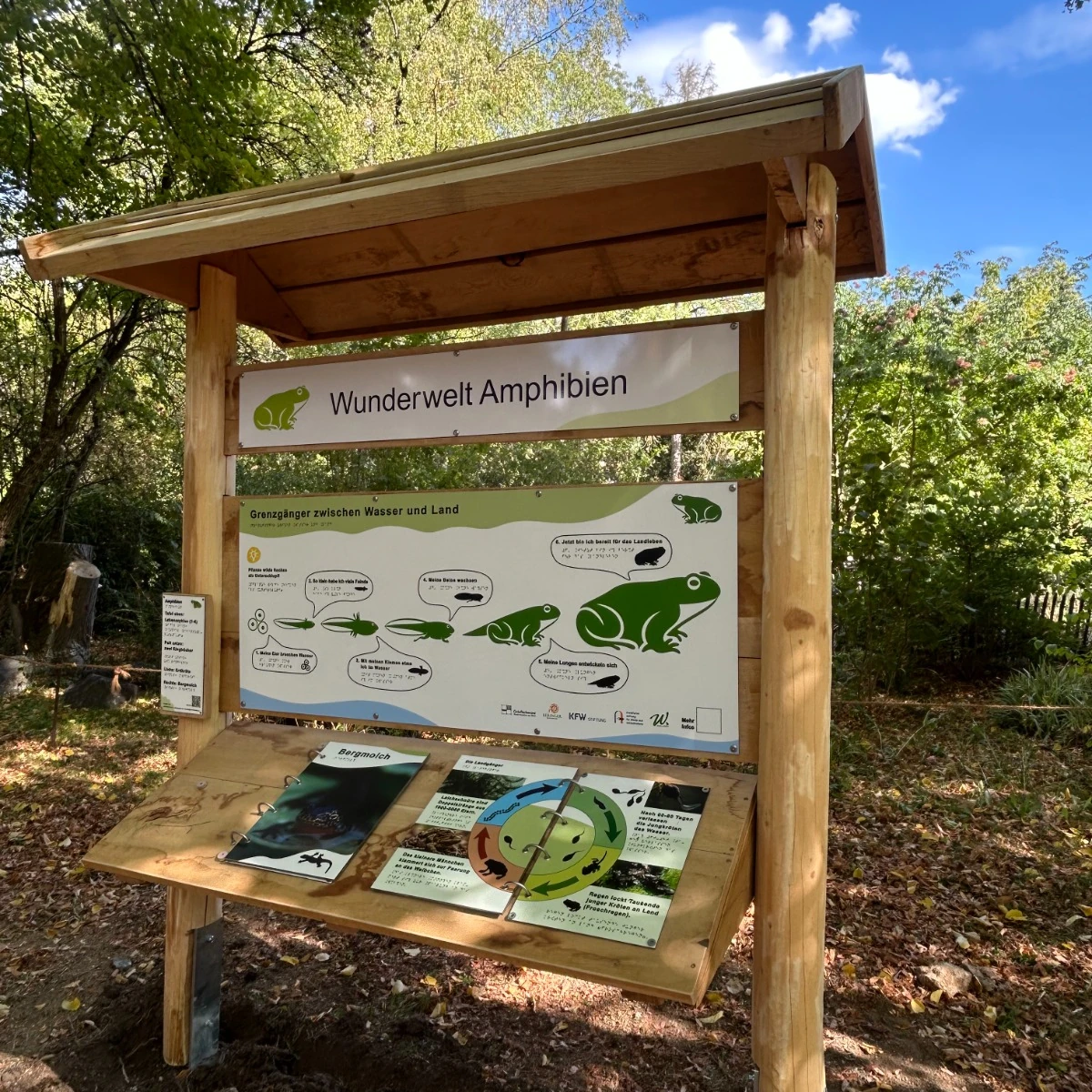 wunderwelt-amphibien-naturerlebnisstation